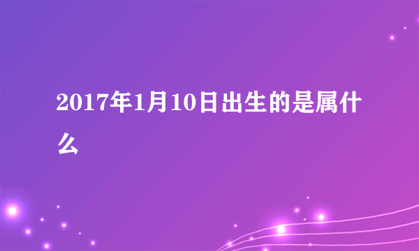 2017年1月10日出生的是属什么