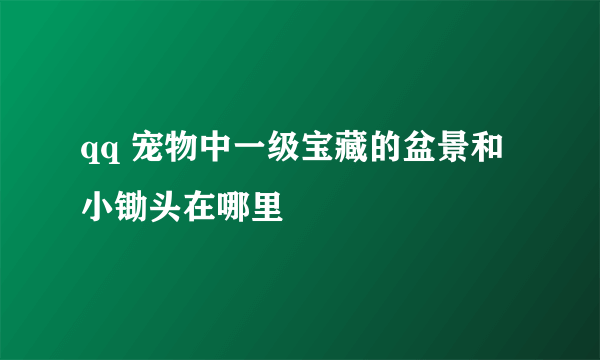 qq 宠物中一级宝藏的盆景和小锄头在哪里