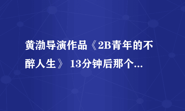 黄渤导演作品《2B青年的不醉人生》 13分钟后那个DJ电音叫什么名字？