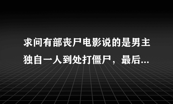 求问有部丧尸电影说的是男主独自一人到处打僵尸，最后碰到一群人，好像丧尸里面还有个领头人物？