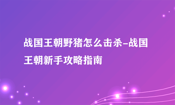 战国王朝野猪怎么击杀-战国王朝新手攻略指南