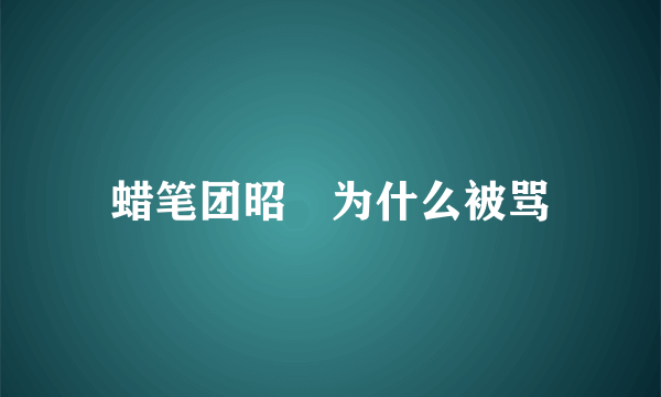 蜡笔团昭燏为什么被骂