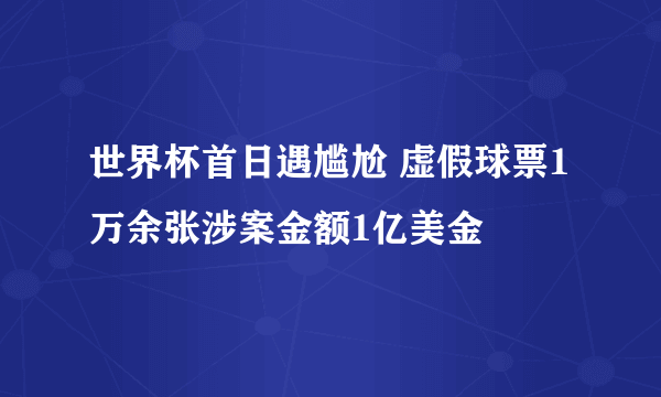 世界杯首日遇尴尬 虚假球票1万余张涉案金额1亿美金