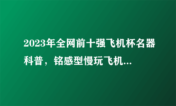 2023年全网前十强飞机杯名器科普，铭感型慢玩飞机杯有哪些值得推荐，约束3代rqs枫花恋/GXP白丝壁女测评