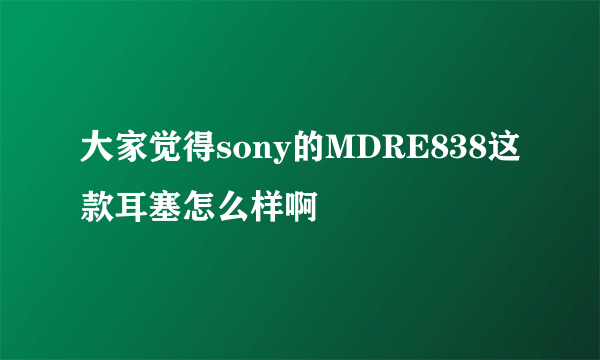 大家觉得sony的MDRE838这款耳塞怎么样啊