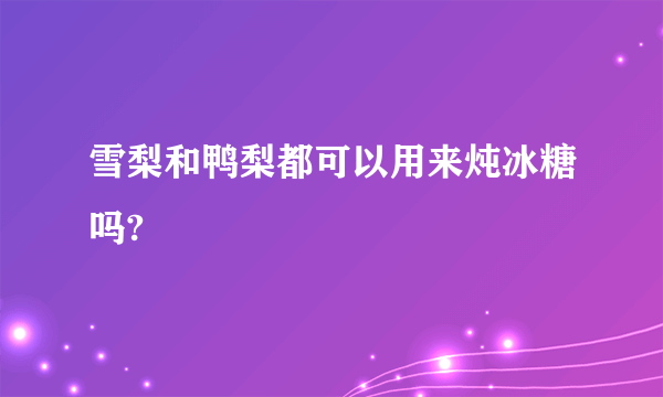 雪梨和鸭梨都可以用来炖冰糖吗?