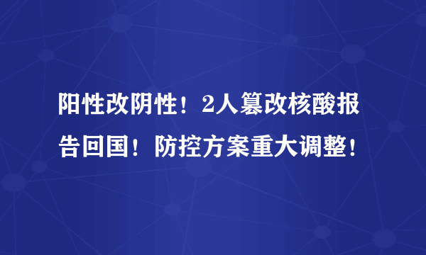 阳性改阴性！2人篡改核酸报告回国！防控方案重大调整！