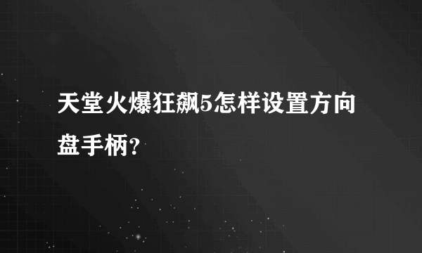 天堂火爆狂飙5怎样设置方向盘手柄？