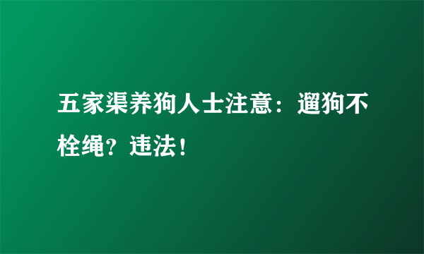 五家渠养狗人士注意：遛狗不栓绳？违法！