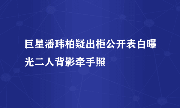 巨星潘玮柏疑出柜公开表白曝光二人背影牵手照