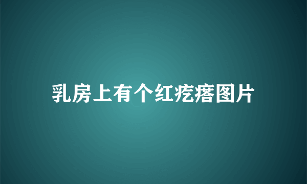 乳房上有个红疙瘩图片