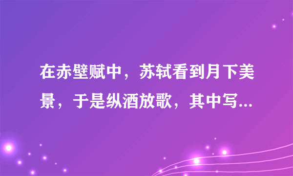 在赤壁赋中，苏轼看到月下美景，于是纵酒放歌，其中写船桨之美和于月下划船的惬意的句子是？