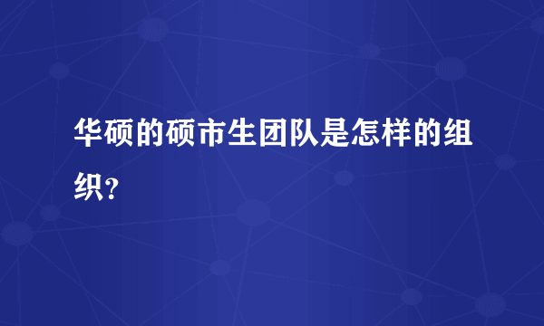 华硕的硕市生团队是怎样的组织？