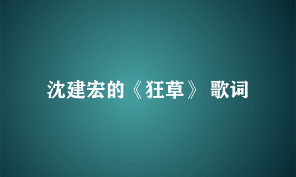 沈建宏的《狂草》 歌词