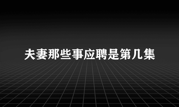 夫妻那些事应聘是第几集