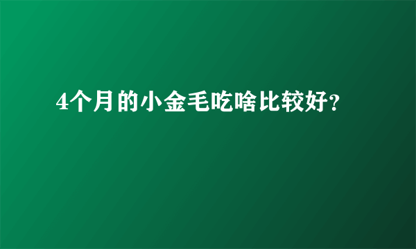 4个月的小金毛吃啥比较好？