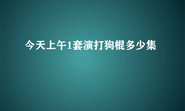 今天上午1套演打狗棍多少集