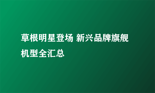 草根明星登场 新兴品牌旗舰机型全汇总