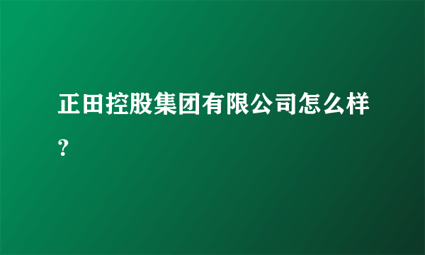 正田控股集团有限公司怎么样？