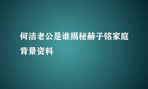 何洁老公是谁揭秘赫子铭家庭背景资料