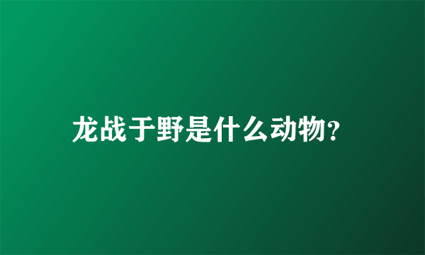 龙战于野是什么动物？