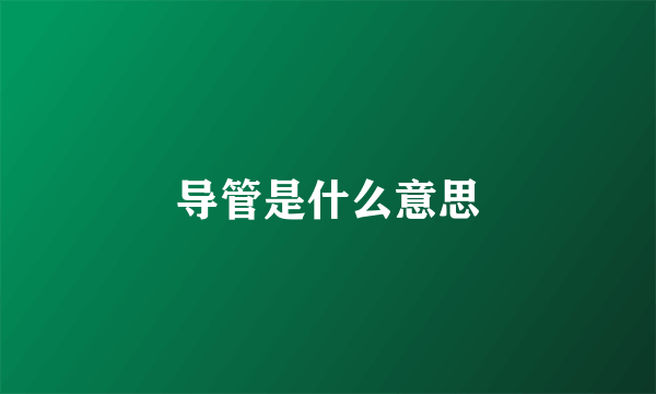 导管是什么意思