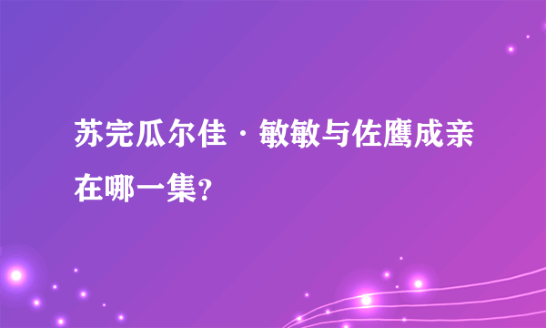 苏完瓜尔佳·敏敏与佐鹰成亲在哪一集？