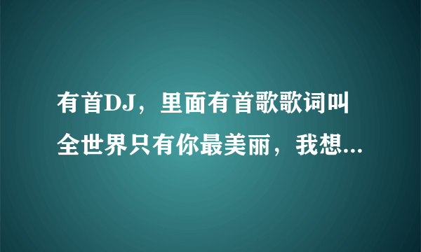 有首DJ，里面有首歌歌词叫全世界只有你最美丽，我想对你说，I LOVE YOU？