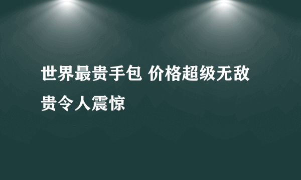 世界最贵手包 价格超级无敌贵令人震惊