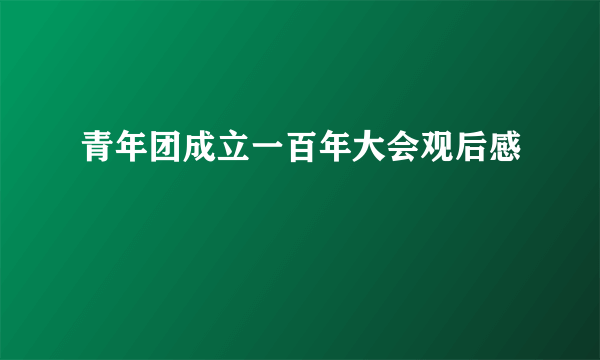 青年团成立一百年大会观后感