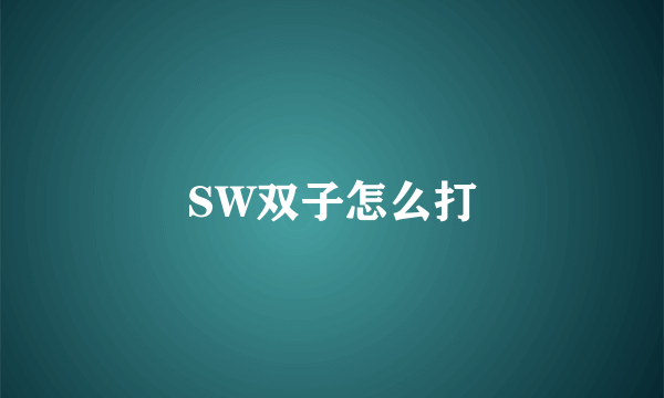 SW双子怎么打