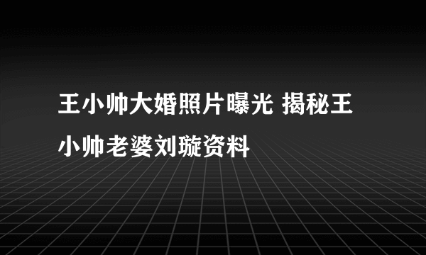 王小帅大婚照片曝光 揭秘王小帅老婆刘璇资料