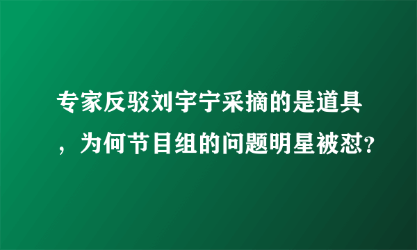 专家反驳刘宇宁采摘的是道具，为何节目组的问题明星被怼？