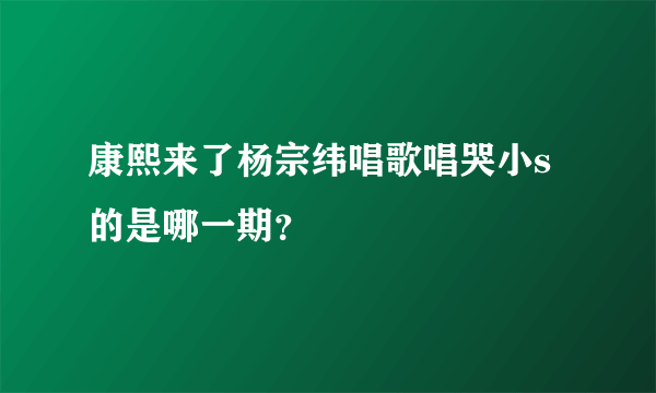 康熙来了杨宗纬唱歌唱哭小s的是哪一期？