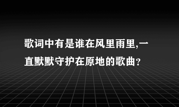 歌词中有是谁在风里雨里,一直默默守护在原地的歌曲？