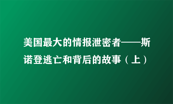 美国最大的情报泄密者——斯诺登逃亡和背后的故事（上）