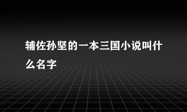 辅佐孙坚的一本三国小说叫什么名字