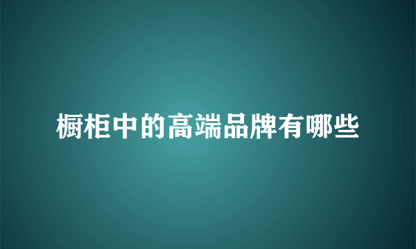 橱柜中的高端品牌有哪些