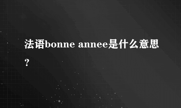 法语bonne annee是什么意思？