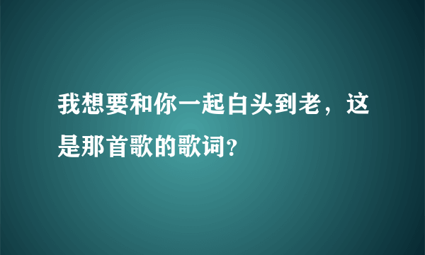 我想要和你一起白头到老，这是那首歌的歌词？