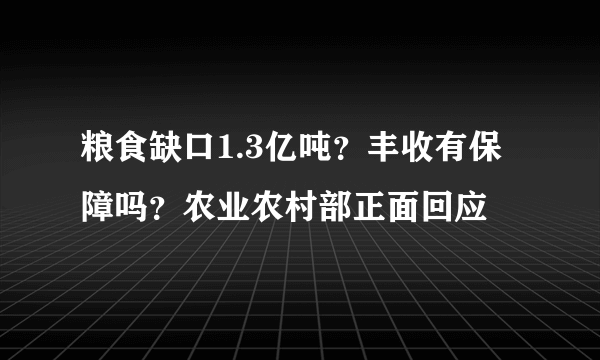 粮食缺口1.3亿吨？丰收有保障吗？农业农村部正面回应