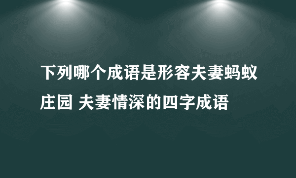 下列哪个成语是形容夫妻蚂蚁庄园 夫妻情深的四字成语