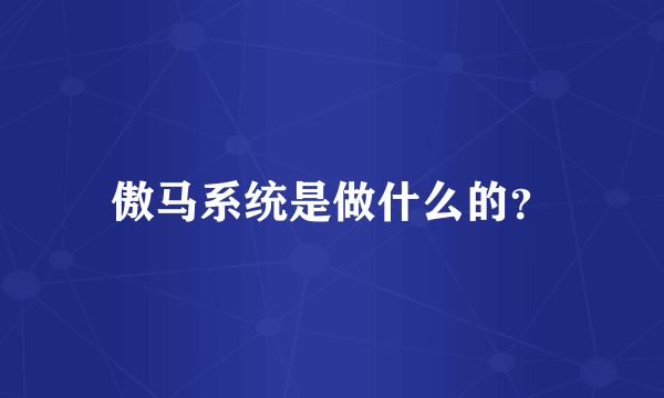 傲马系统是做什么的？