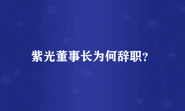 紫光董事长为何辞职？