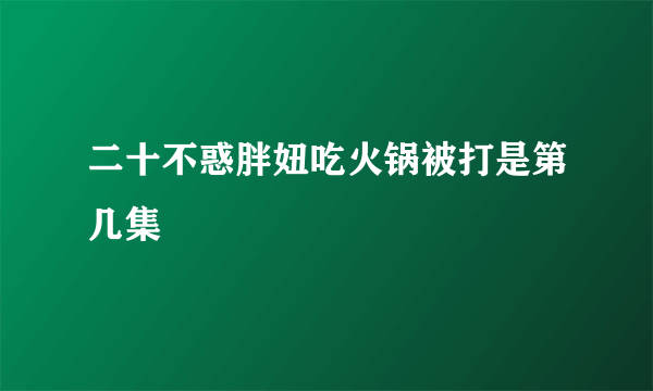 二十不惑胖妞吃火锅被打是第几集