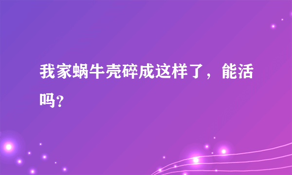 我家蜗牛壳碎成这样了，能活吗？