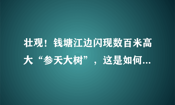 壮观！钱塘江边闪现数百米高大“参天大树”，这是如何形成的？