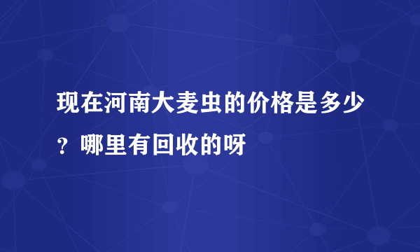 现在河南大麦虫的价格是多少？哪里有回收的呀