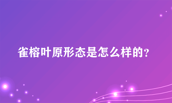 雀榕叶原形态是怎么样的？