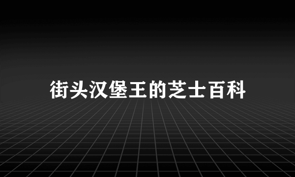 街头汉堡王的芝士百科